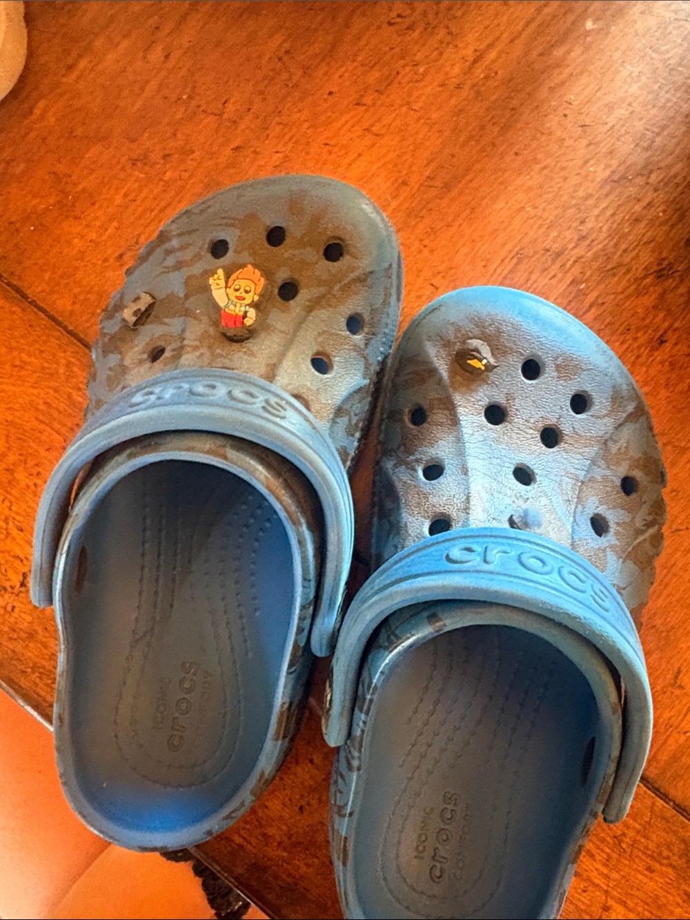 CROCS Kids Light Blue Clog Sandals